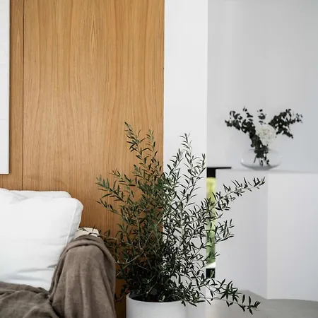 Apartment Casa Kalo Duplex Penthouse Rooftop Puente *