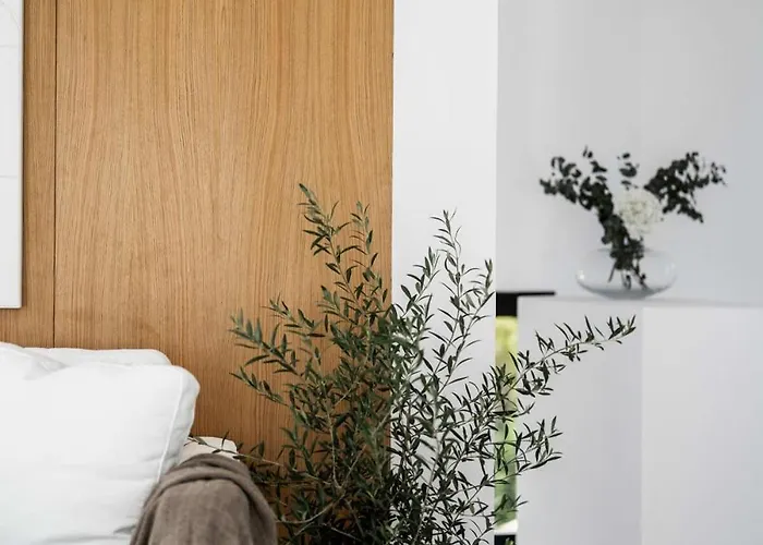 Daire Casa Kalo Duplex Penthouse Rooftop Puente *